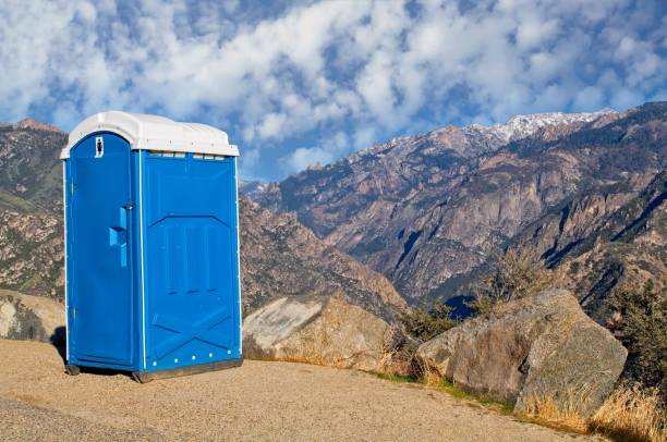 Best Sanitation services for porta potties  in Chatsworth, IL